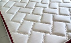 Snapinsta.app_107237058_764608010949372_4229940477162568690_n_1080