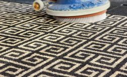 Snapinsta.app_463992865_432329859893550_40670549848681777_n_1080